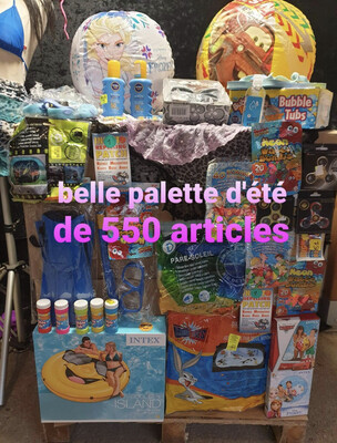 Palette de 550 articles d’été – Avec produits Intex