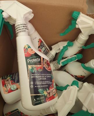 lot de 144 spray concentré lot de 144 spray concentré