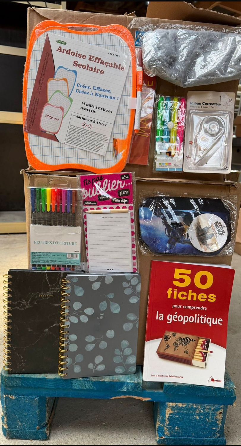 Palette de 600 articles de bazar tout type
