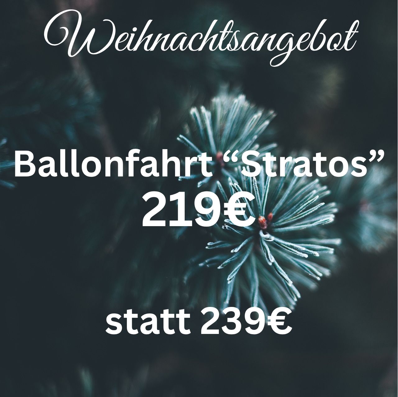 Ballonfahrt: "Stratos"
