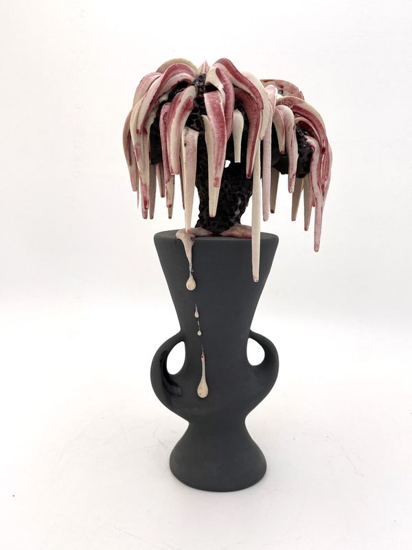 Alberghina Marc,  collection privée