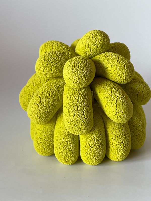 Renard Léa,  Collection privée