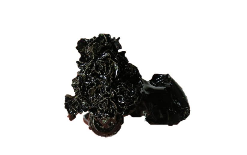 Ballacchino Audrey, disponible, en direct avec Audrey