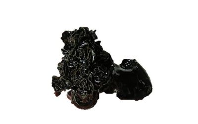 Ballacchino Audrey, disponible, en direct avec Audrey