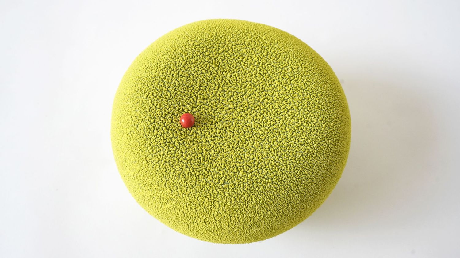 Renard Léa,  disponible, en direct avec Léa