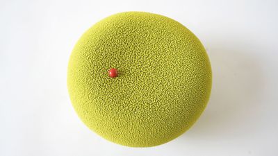 Renard Léa,  disponible, en direct avec Léa