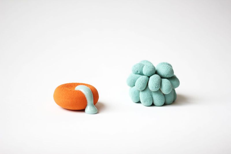 Renard Léa,  disponible, en direct avec Léa