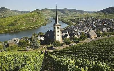 Wine > Germany/Austria/Hungary
