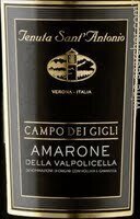 Tenuta Sant'Antonio Campo dei Gigli Amarone della Valpolicella 2016 (750 ml)