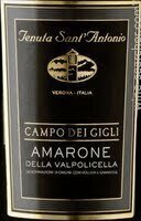 Tenuta Sant&#39;Antonio Campo dei Gigli Amarone della Valpolicella 2016 (750 ml)