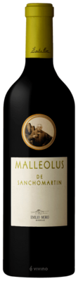 Emilio Moro Malleolus de Sanchomartin 2019 (750 ml)