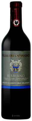 Bibbiano Vigna del Capannino Gran Selezione Chianti Classico 2019 (750 ml)