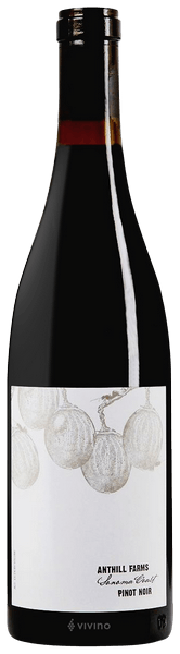 Anthill Farms Sonoma Coast Pinot Noir 2021 (750 ml)