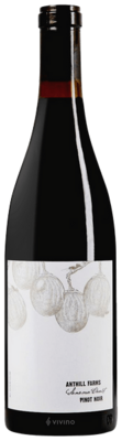 Anthill Farms Sonoma Coast Pinot Noir 2020 (750 ml)
