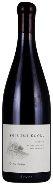 Shibumi Knoll Vineyards Buena Tierra Vineyard Pinot Noir 2019 (750 ml)