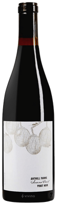 Anthill Farms Sonoma Coast Pinot Noir 2022 (750 ml)