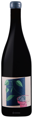 Pray Tell Pinot Noir 2021 (750 ml)