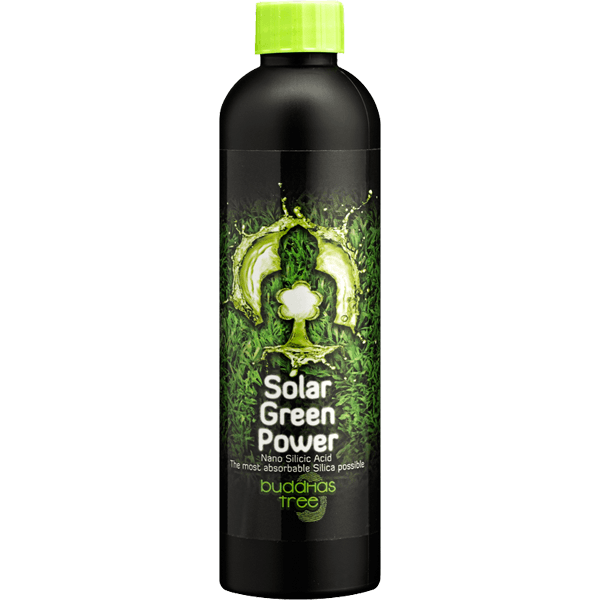 Buddha's Tree Solar Green Power