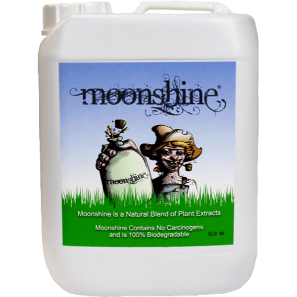 Moonshine