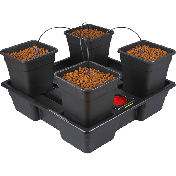 Wilma XL 4 25L