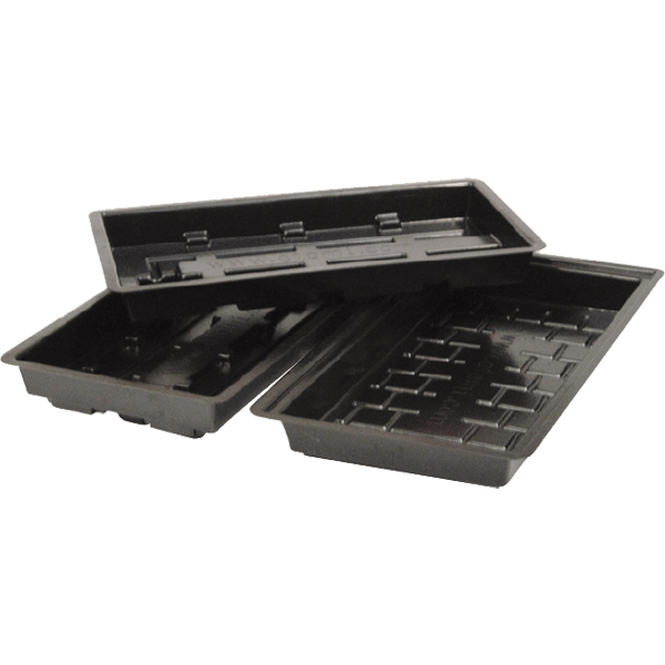 Wilma Replacement Trays