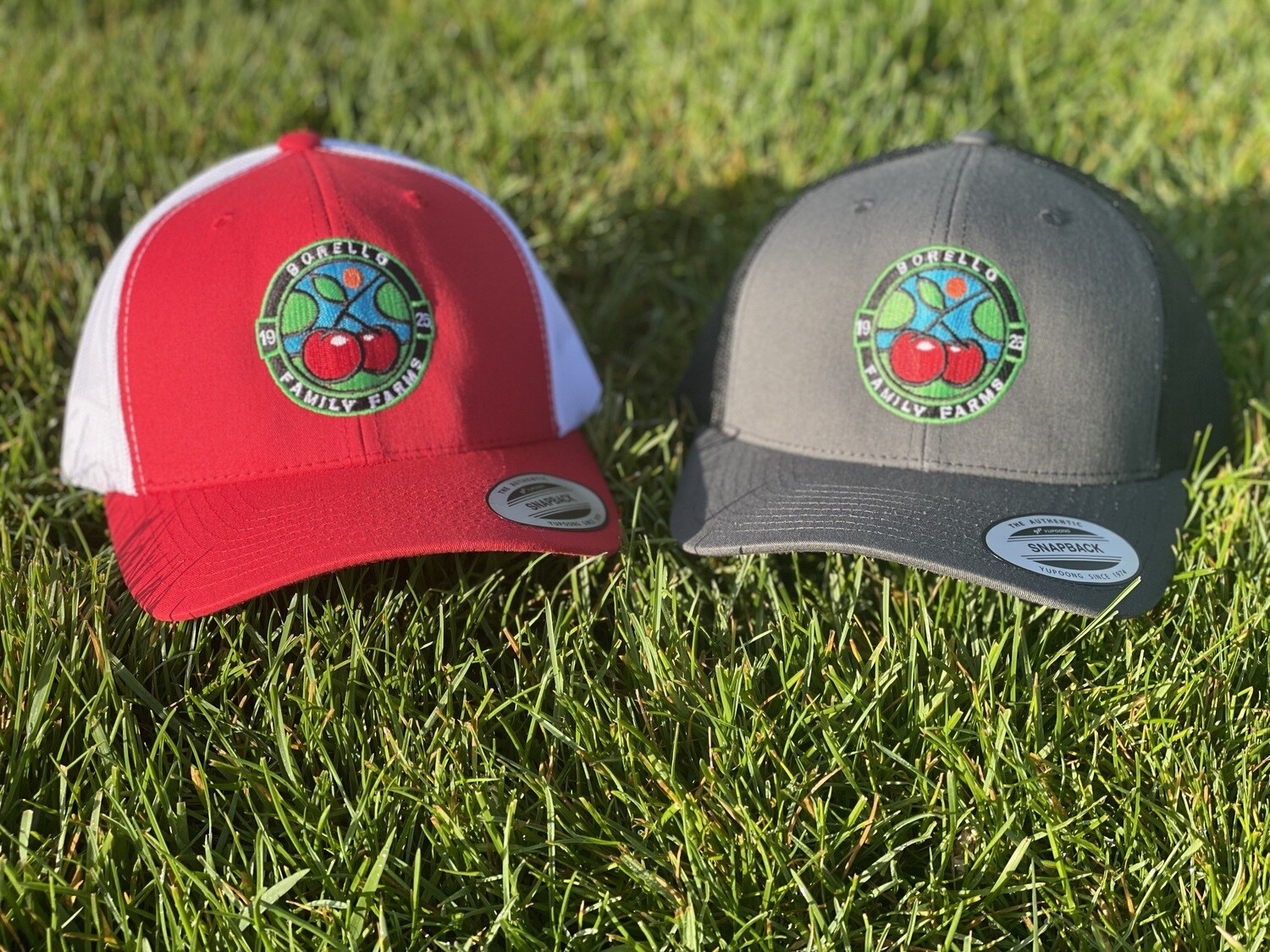 Classic Fit Hat (Grey &amp; Red)
