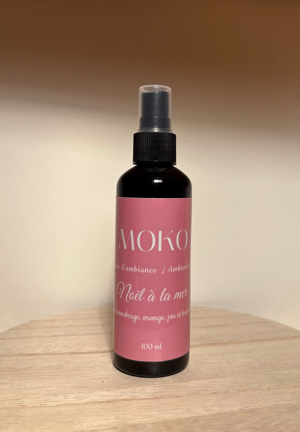 BRUINE D'AMBIANCE - NOËL À LA MER