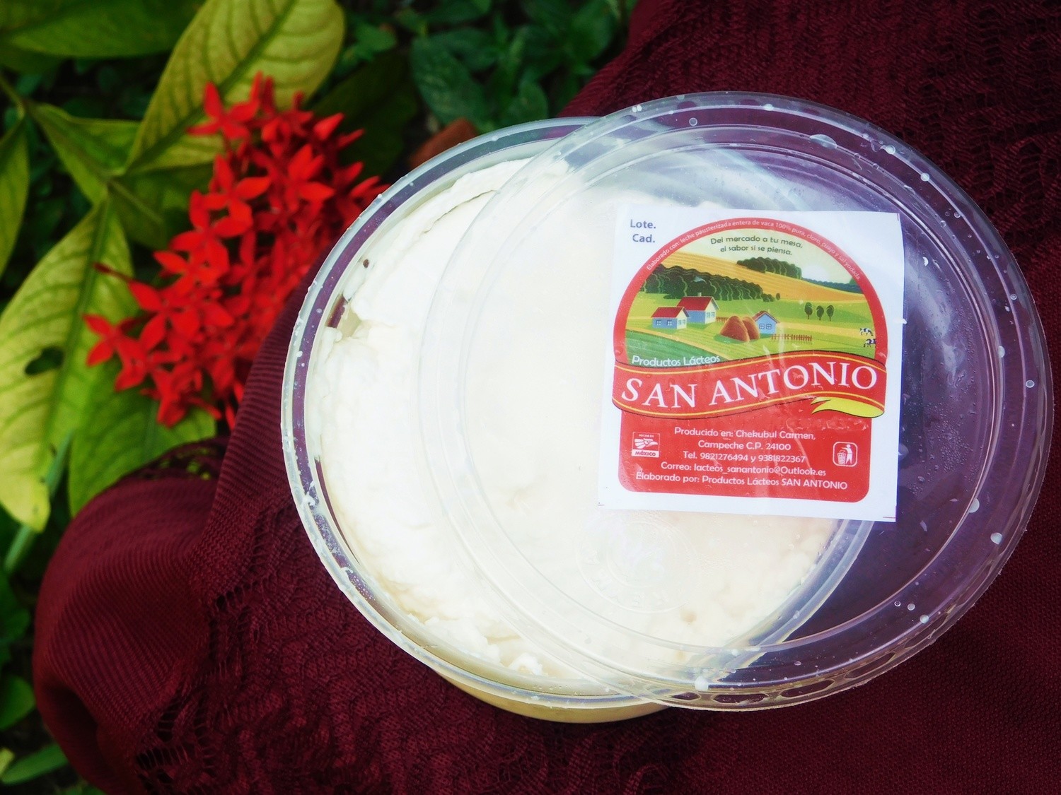 Queso Requeson
