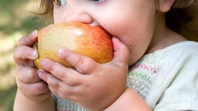 Toddler Nutrition Groups