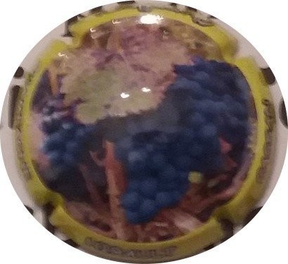 JEROBOAM HIRAULT CASSAN RAISIN REF N° 7f NEWS