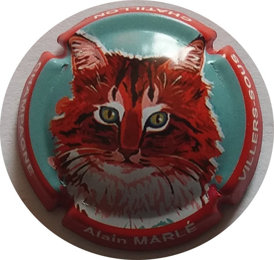 JÉROBOAM CHAMPAGNE MARLE ALAIN LE CHAT REFN°10e  NEWS