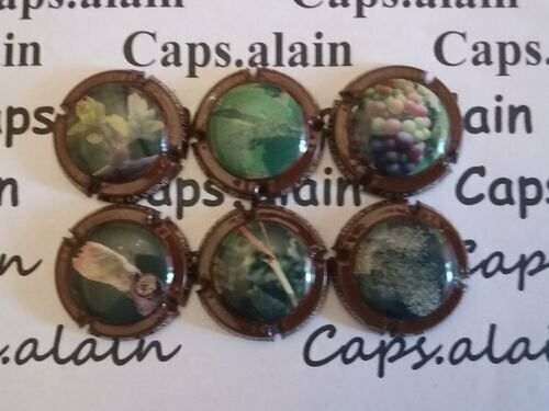 SERIE CAPSULES CHAMPAGNE GENERIQUE CYCLE VEGETATIF DE LA VIGNE NEWS REF 990/990e