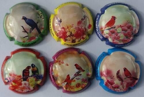 6 BELLES CAPSULES CHAMPAGNE CODAN RICHART ET FILS LES OISEAUX REF N°2h/2he NEWS