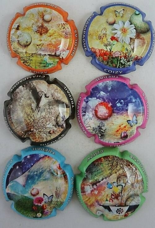 6 BELLES CAPSULES CHAMPAGNE COIZY NICOLAS REF N°1/1e NEWS