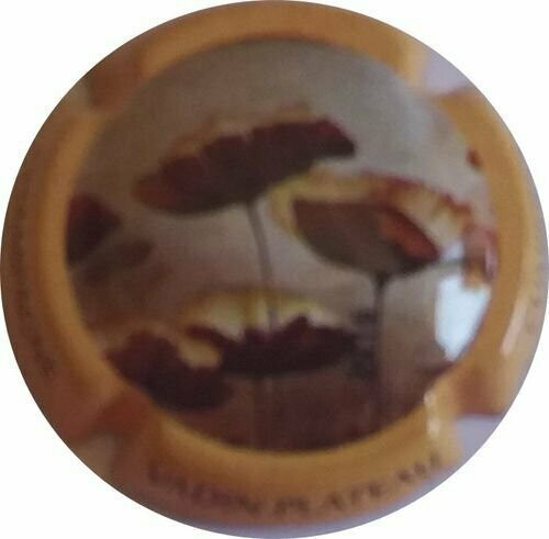 CAPSULE CHAMPAGNE VADIN PLATEAU FLEUR REF N°28A