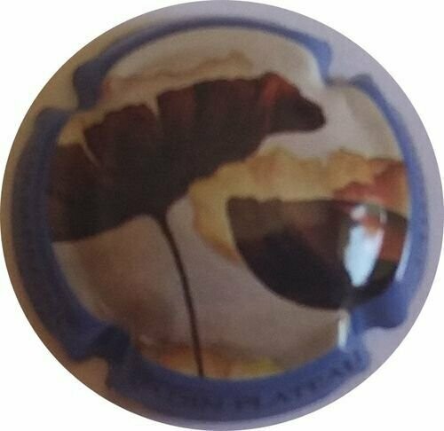 CAPSULE CHAMPAGNE VADIN PLATEAU FLEUR