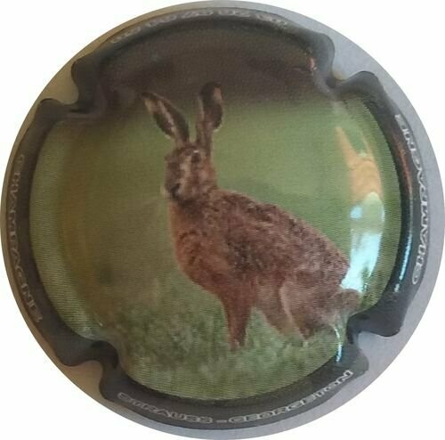 BELLE CAPSULE CHAMPAGNE STRAUSS GEORGETON LE LIEVRE REF N°17b NEWS