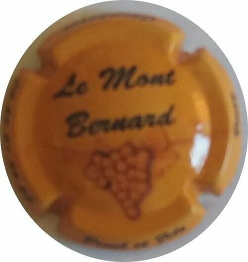 CAPSULE CHAMPAGNE PINEL ET FILS LE MT BERNARD REF N° 1