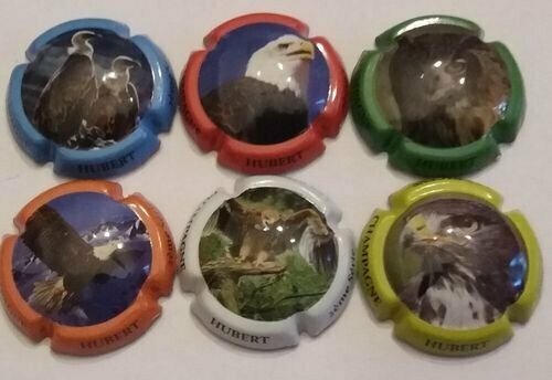 6 BELLES CAPSULES CHAMPAGNE HUBERT LES RAPACES REF  N°7 a  7e NEWS