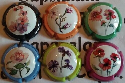 6 BELLES CAPSULES CHAMPAGNE RAYMOND PITOIS REF N° 4 a 4e NEWS