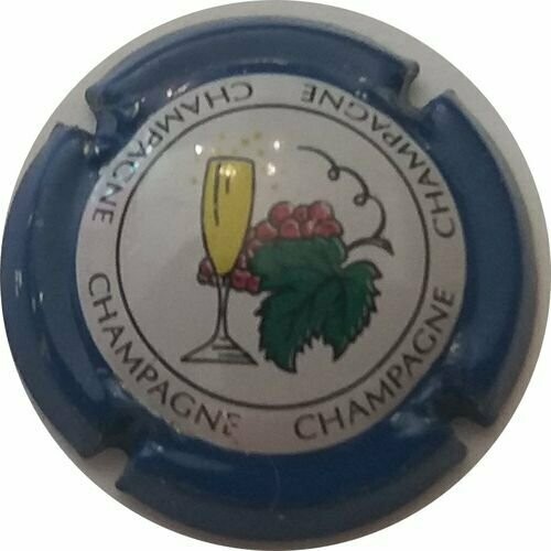 BELLE CAPSULE CHAMPAGNE GENERIQUE  REF N°593f