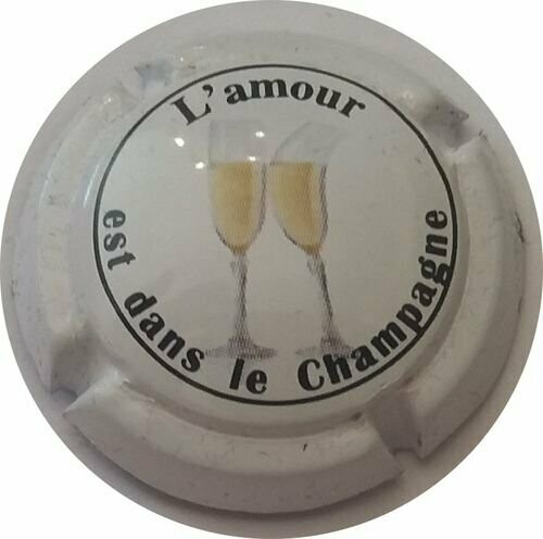 CAPSULE CHAMPAGNE GENERIQUE  REF N°795b