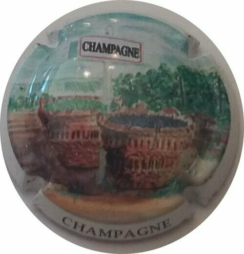 CAPSULE CHAMPAGNE GENERIQUE  REF N°796