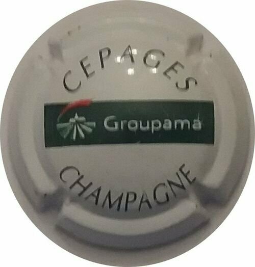 CAPSULE CHAMPAGNE GENERIQUE PUBLICITAIRE