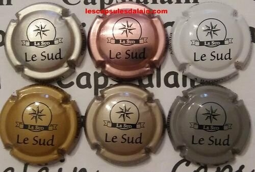 6 BELLES CAPSULES CHAMPAGNE A.BAGNOST RÉF N°15 a 15e