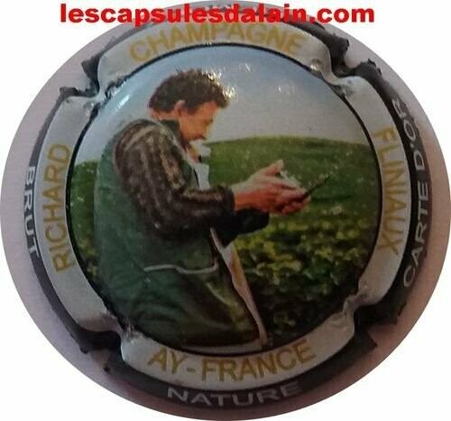 CAPSULE CHAMPAGNE RICHARD FLINIAUX RÉF N°17