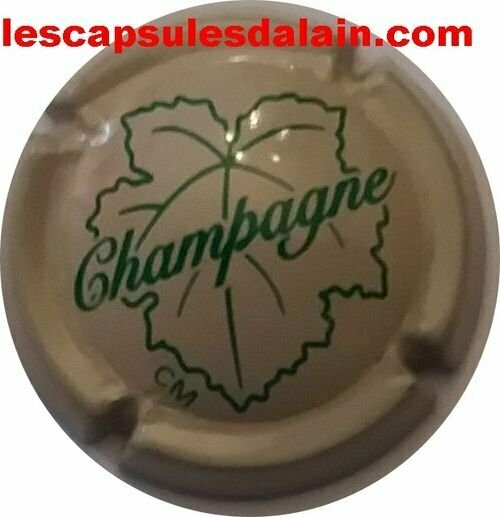 CAPSULE CHAMPAGNE GENERIQUE RÉF N°474