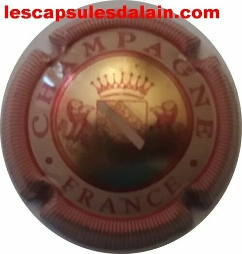 CAPSULE CHAMPAGNE GENERIQUE RÉF N°587
