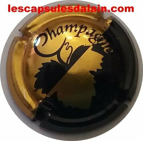 CAPSULE CHAMPAGNE GENERIQUE RÉF N°654