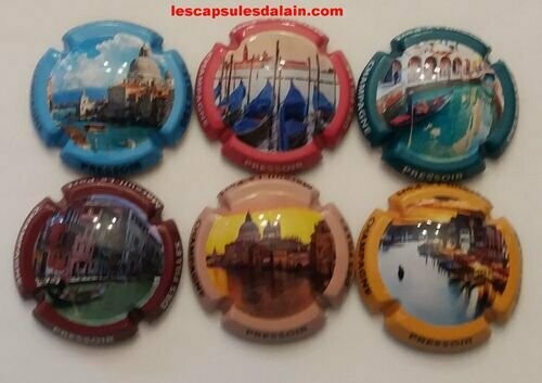 6 BELLES CAPSULES CHAMPAGNE PRESSOIR DES FILLES REF N°13 a 13e  NEWS